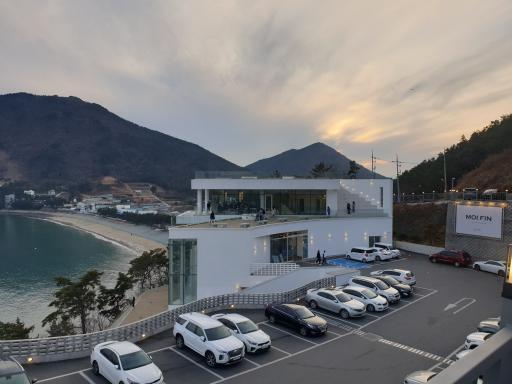 164. 돌산도