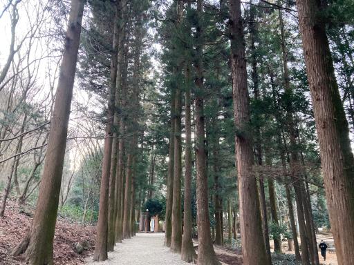 9. 대한다업 보성다원제1농장