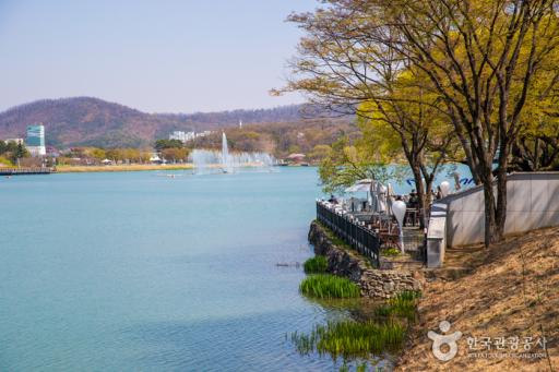 15. 수성유원지