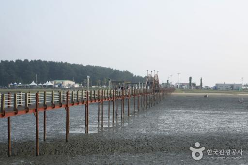 209. 증도