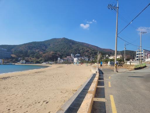 와현모래숲해변