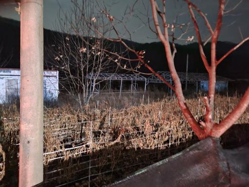 32. 동막골유원지