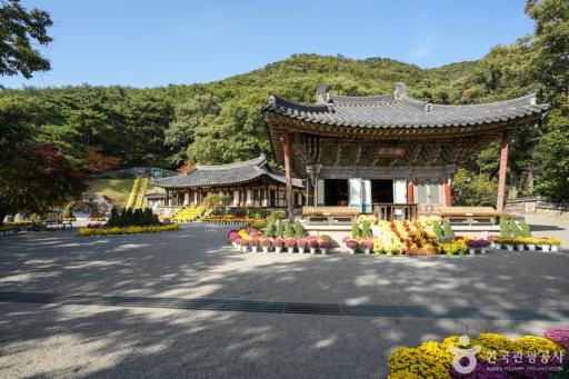 78. 도리사