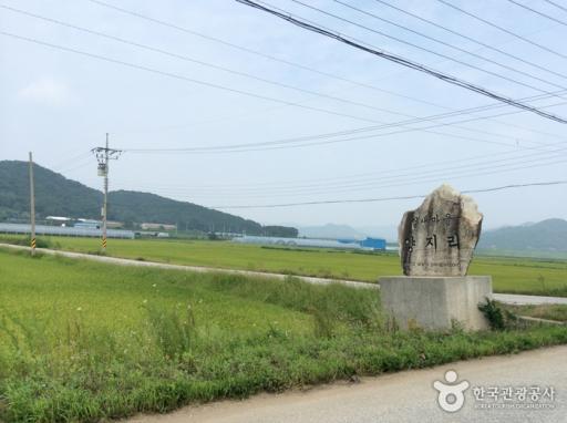 1211. 철새도래지