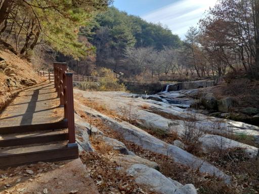 수포대