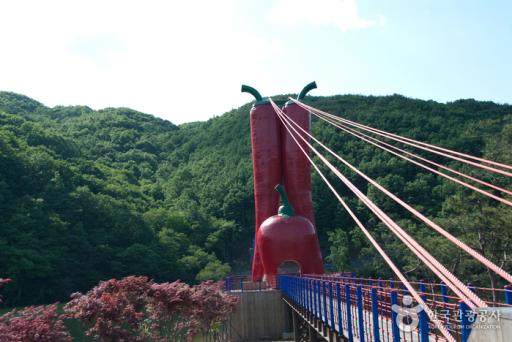 77. 천장호