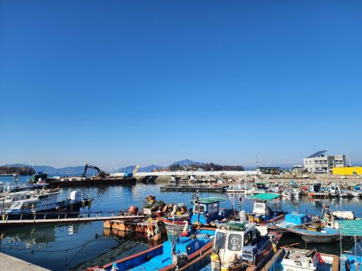 175. 저도