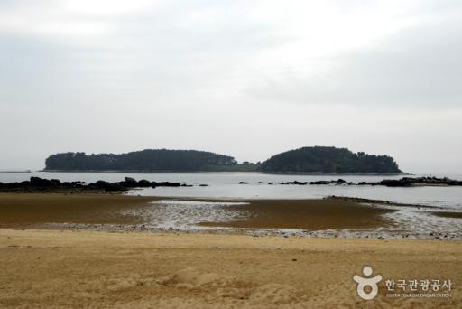 250. 석대도