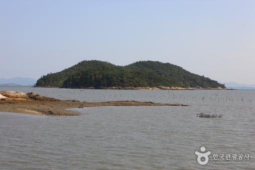 254. 미덕도