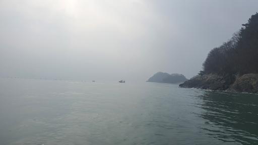 입파도