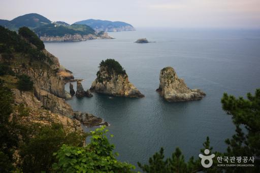 225. 갈도