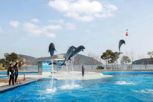 13. 거제씨월드