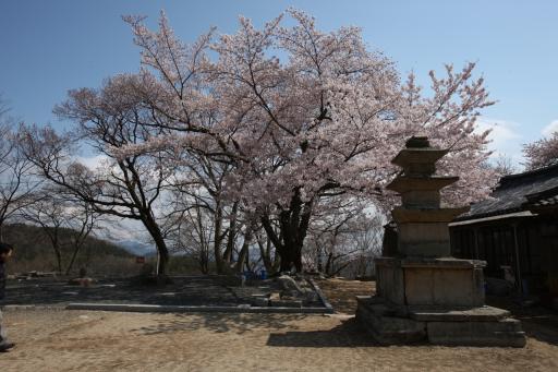 161. 부인사