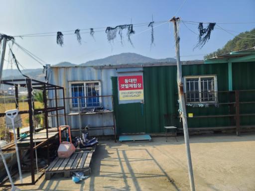 동대만갯벌체험장