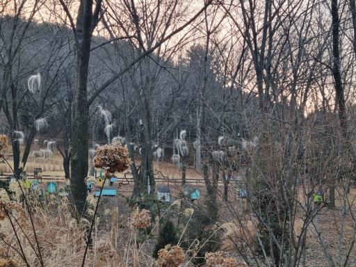 77. 유니스의정원 보타닉하우스