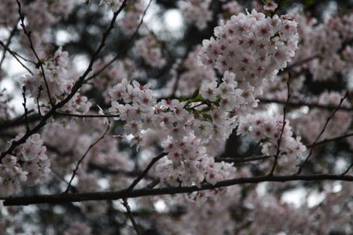 6. 앞산카페거리