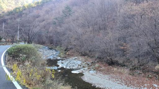 단임계곡