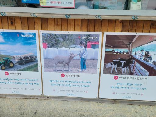 대관령하늘목장