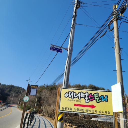 51. 애니멀스토리