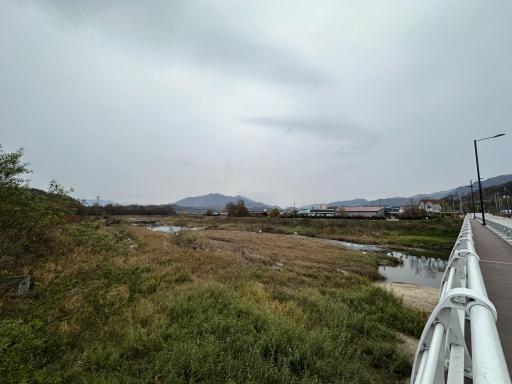 219. 영평천