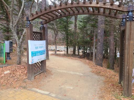 2. 오대산전나무숲길