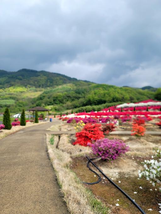 122. 별빛화목원