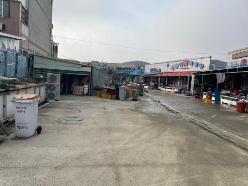 8. 마섬포구