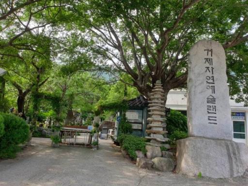 6. 거제자연예술랜드