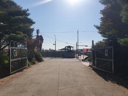 236. 덕섬