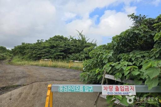 36. 동검은이오름