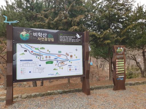 151. 비학산자연휴양림