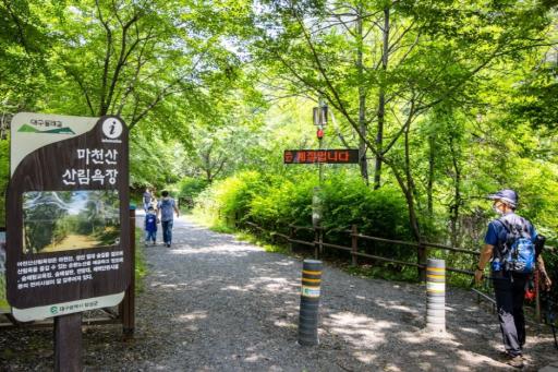 230. 마천산산림욕장