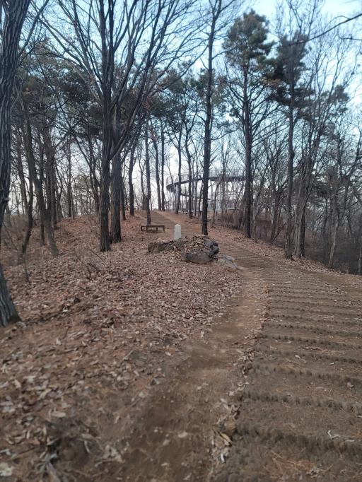 장아산