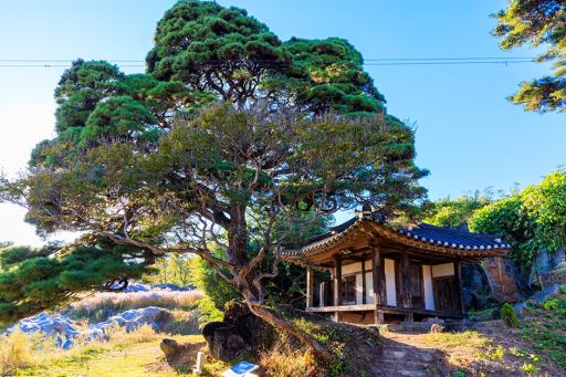 166. 봉천사