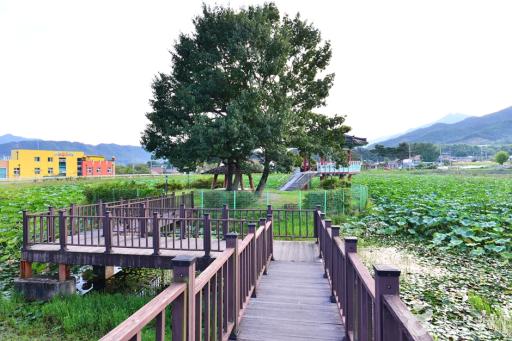 142. 곡성군생활체육공원 죽동제