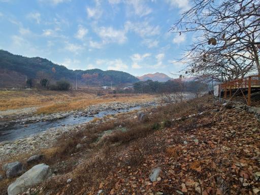 133. 송정자연발생유원지