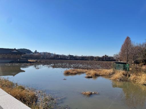 112. 덕진연못