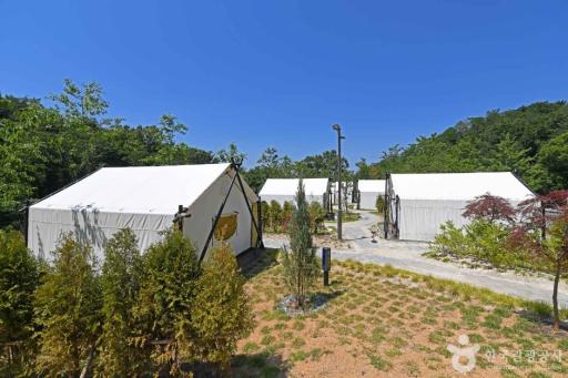 13. 태학산자연휴양림