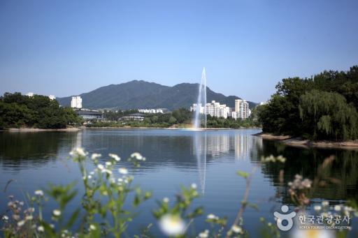 31. 호암지