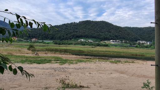 208. 반곡마을휴양지자연휴양림