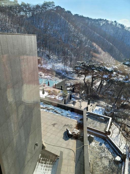 55. 포레스트리솜해브나인스파