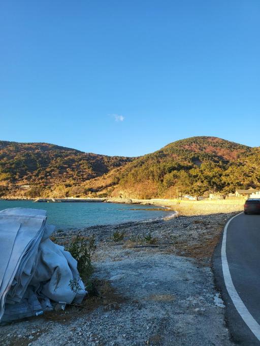 435. 직포해변