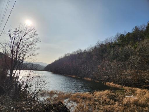 101. 화곡지