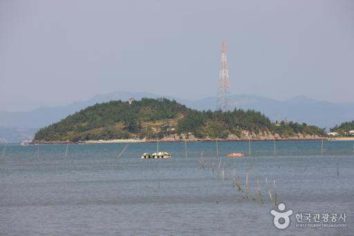 247. 진지도