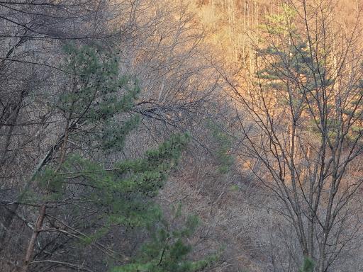 고병계곡