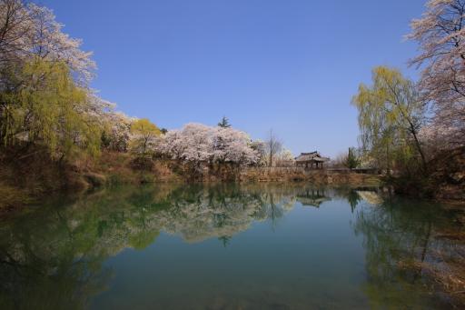 33. 덕천서원