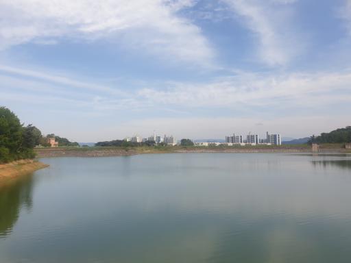 126. 산대지