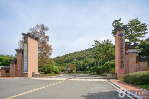 22. 경상북도수목원