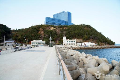 175. 금진방파제