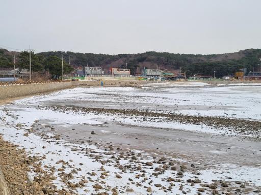 202. 조름섬